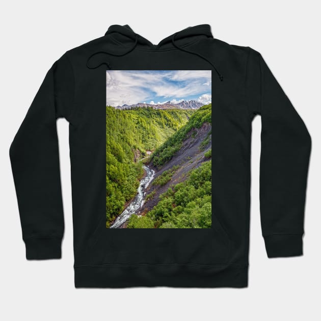 Hurricane Gulch View Hoodie by andykazie